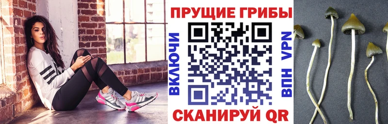 hydra маркетплейс  Шарыпово  Псилоцибиновые грибы MAGIC MUSHROOMS  где купить  