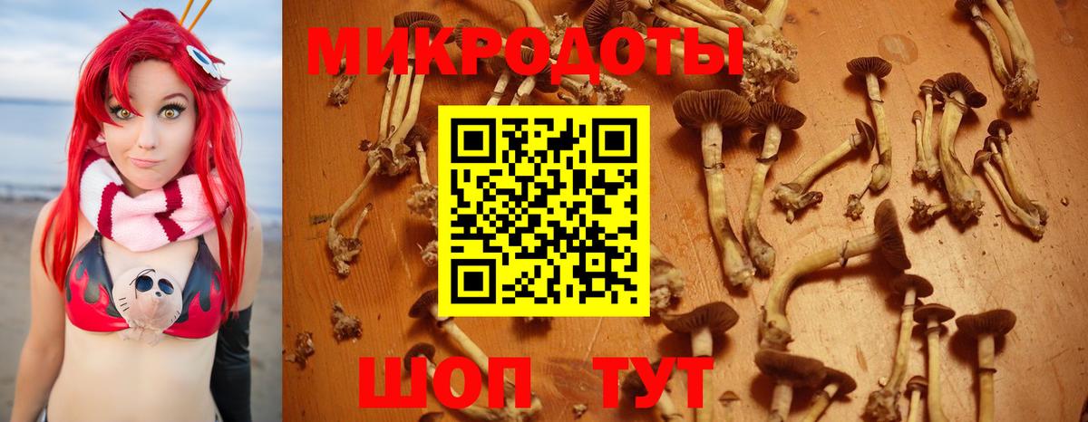 купить наркотики цена  Вход с VPN  Шарыпово  Галлюциногенные грибы ЛСД 